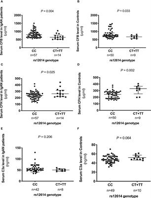 Functional variant rs12614 in CFB confers a low risk of IgA nephropathy by attenuating complement alternative pathway activation in Han Chinese